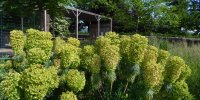 Extérieur Parc Naturel Régional du Pilat