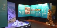 Ötzi, l'homme des glaces