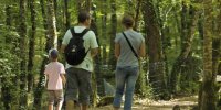 visite dinosaures