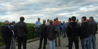 Visite, dégustation de vins d'Alsace à Gueberschwihr