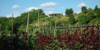 Découvrir Le Jardin pour la Terre