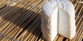 Chabichou spécialité deux-sèvres