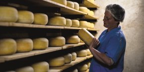 Producteur fromage Bio Mayenne