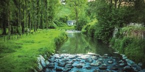 Nature sainte-suzanne