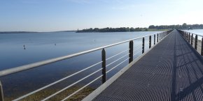 Lac du Der Haute-Marne