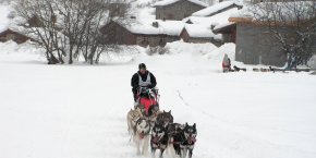 chiens de traineaux savoie