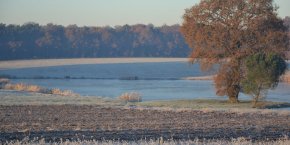 Paysage nature Indre
