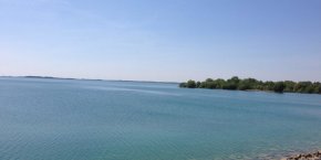 Lac du Der marne