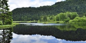 Lac vosges