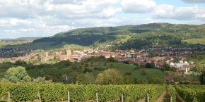 Ville d'Arbois depuis les vigne