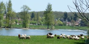 La Loire près de Châtillon-sur-Loire