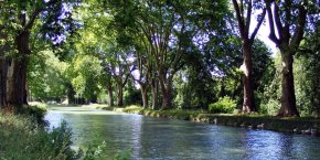 Rivière doubs arbres