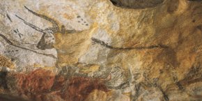 Grand Taureau Lascaux Grottes