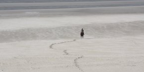 Balade baie de somme