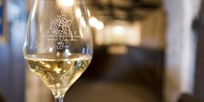 Muscadet tourisme loire-atlantique