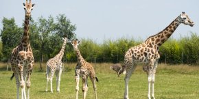 Zoo de la boissière du Doré