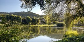 Paysage haute-Loire