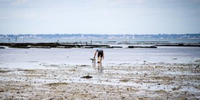 Pêche à la main vendée