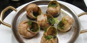Escargots de Bourgogne Yonne tourisme