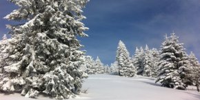 Hiver alsace neige