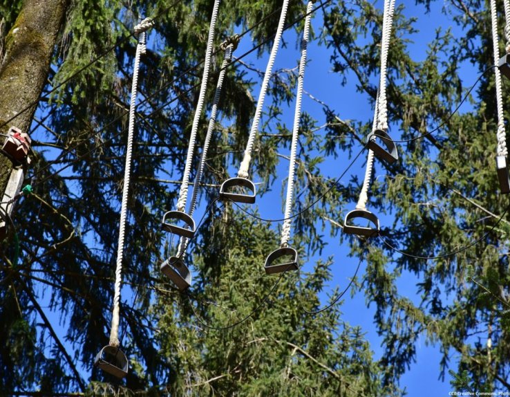 Parc Wizz'Titi