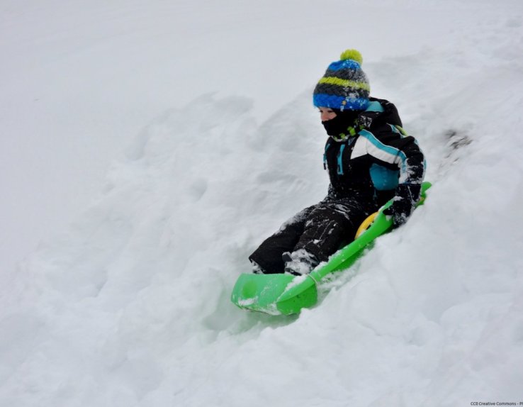 Luge vosges