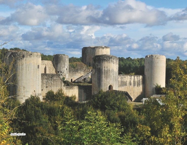 Vue d'ensemble du château de Coudray-Salbart