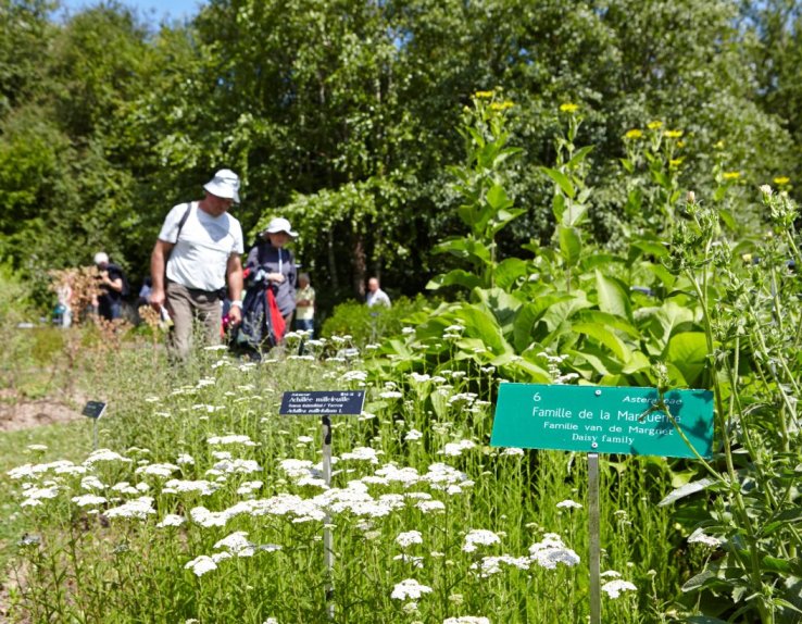 Le Jardin des plantes sauvages