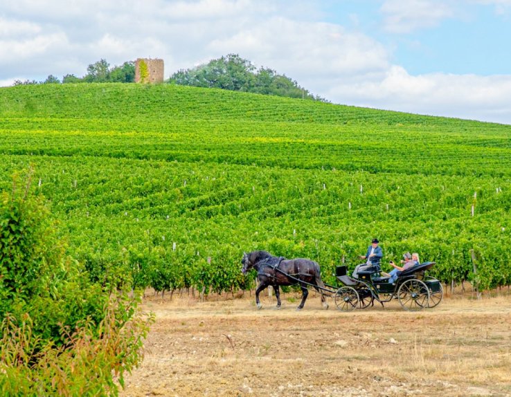 Ecomusée des Côteaux du Moulin