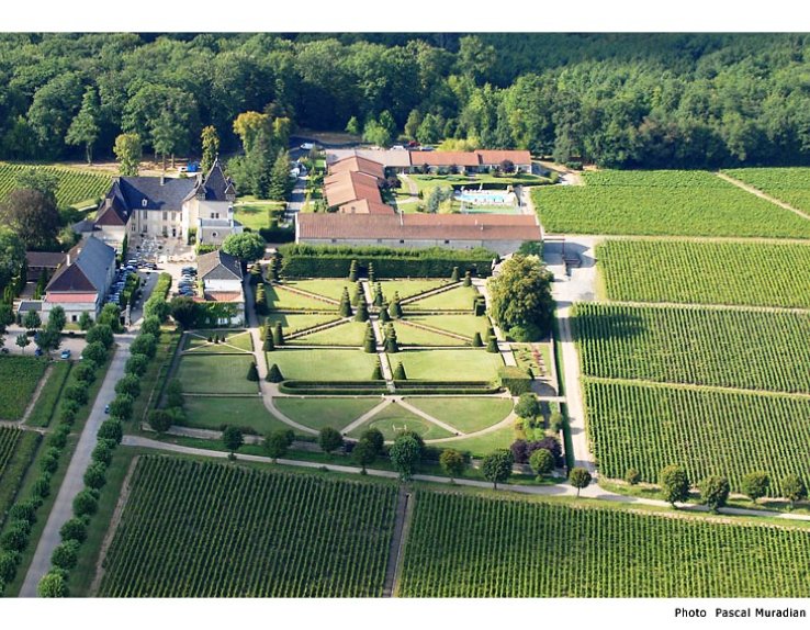 Vue aerienne chateau de Pizay