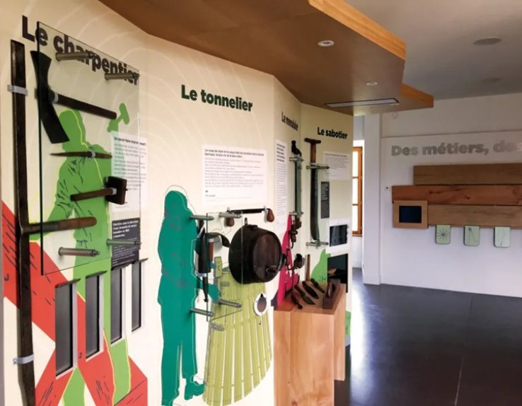 Intérieur de l'espace muséographique dédié à la forêt dans le château de Senonches