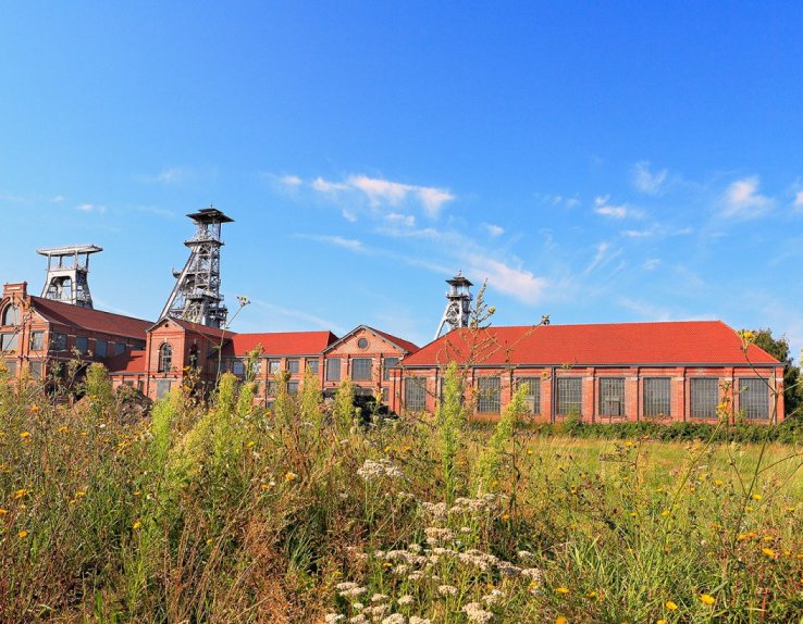 Site minier d'Arenberg, Wallers
