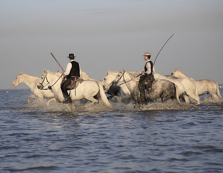 Camargue autrement