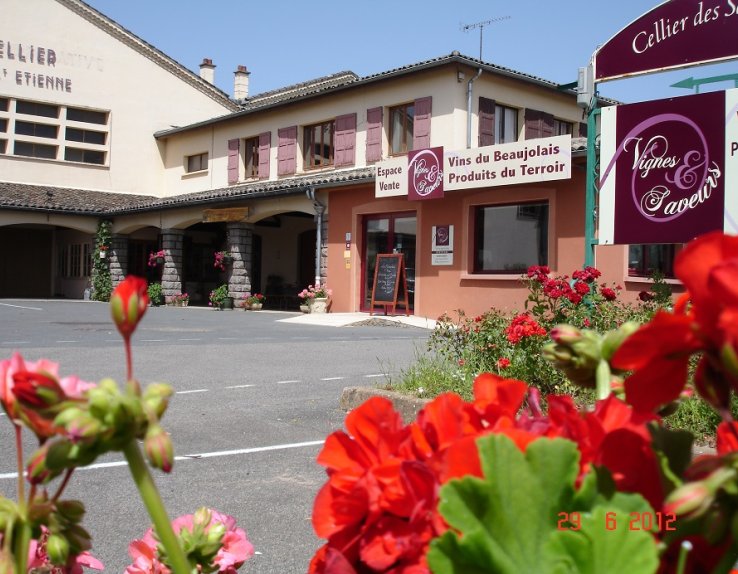 vignes et saveurs saint etienne des oullieres dégustation