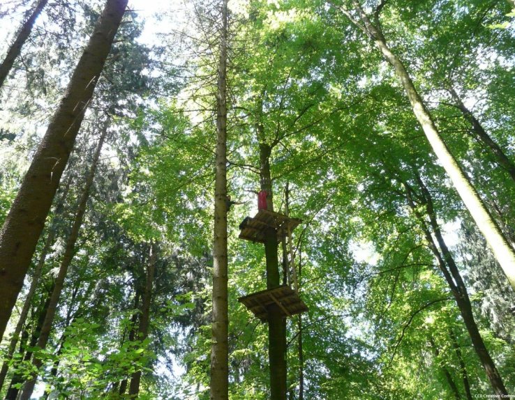 Sequoia Vertigo adrénaline
