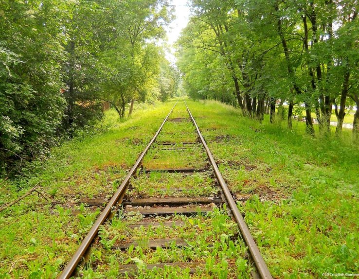 Sur les Rails du Larzac sainte-eulalie-de-cernon